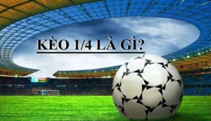 Hướng Dẫn Cách Đọc Kèo Chấp 0.25 Cho Người Mới Bắt Đầu