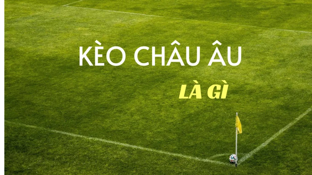 Hướng Dẫn Cách Chơi Kèo Châu Âu Luôn Thắng Cho Người Mới Bắt Đầu