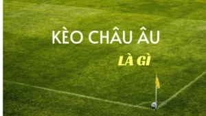 Hướng Dẫn Cách Chơi Kèo Châu Âu Luôn Thắng Cho Người Mới Bắt Đầu