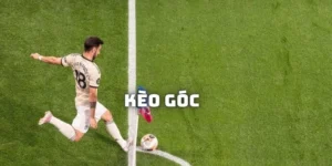 Cách Nhận Định Kèo Phạt Góc Bóng Đá Từ Số Liệu Thống Kê Chuyên Sâu