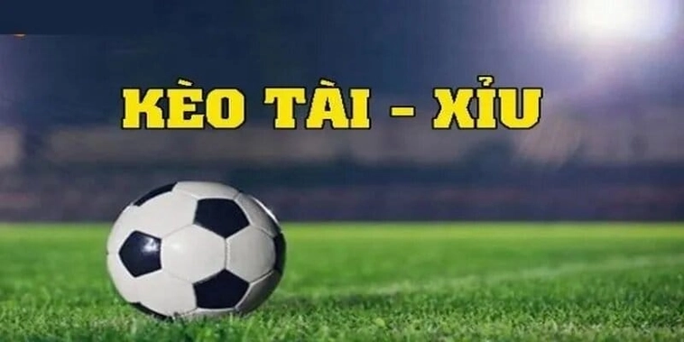 Cách Soi Kèo Tài Xỉu Hiệu Quả Dựa Trên Số Liệu Thống Kê