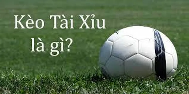 Cách Soi Kèo Tài Xỉu Hiệu Quả Dựa Trên Số Liệu Thống Kê