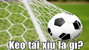 Bí Quyết Soi Kèo Tài Xỉu Bóng Đá Dựa Trên Chỉ Số Bàn Thắng Thực Tế