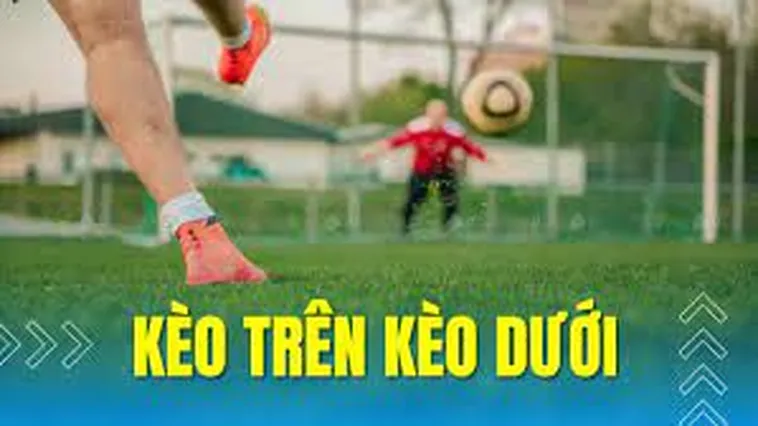 Hướng Dẫn Cách Phân Biệt Kèo Trên Kèo Dưới Chính Xác