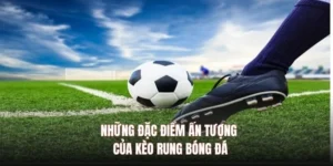Hướng Dẫn Phân Tích Kèo Rung Trong Bóng Đá Chuyên Nghiệp
